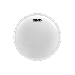 Evans BD20GB4UV 20"