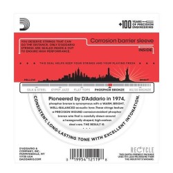 D'Addario EJ39 12 String Medium 12-52