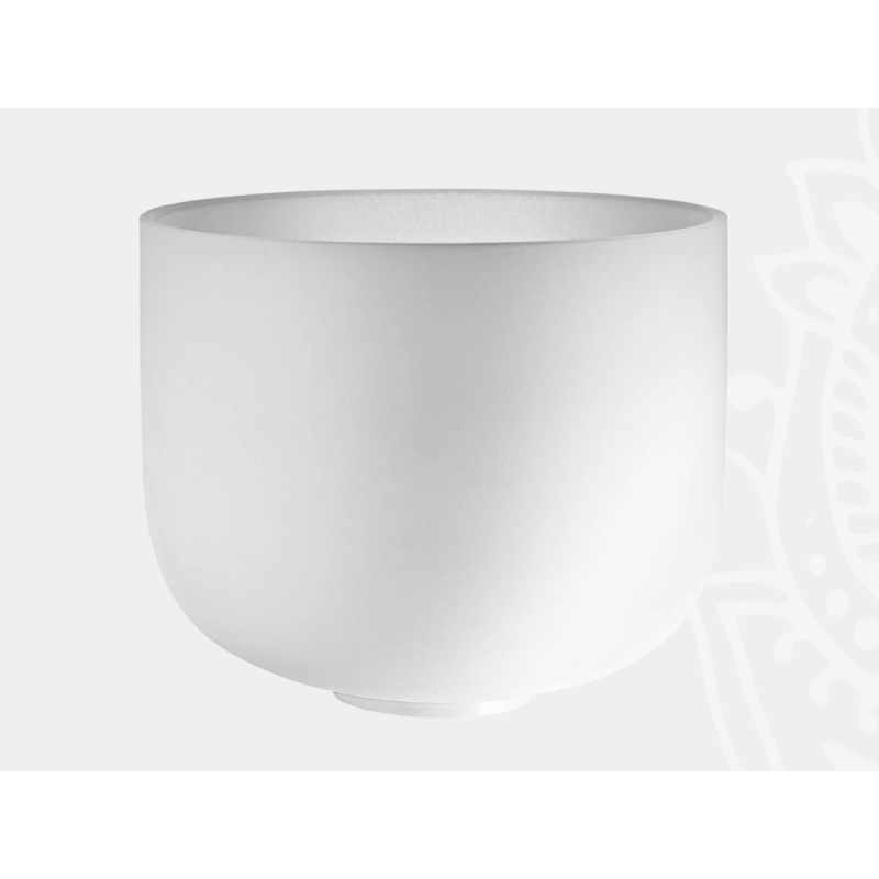 MEINL CSB11F White