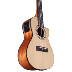 Alvarez RU26CCE Natural