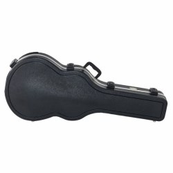 Ibanez MM100C
