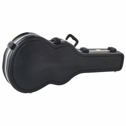 Ibanez MM100C