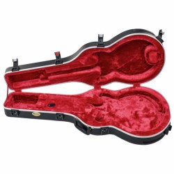 Ibanez MM100C