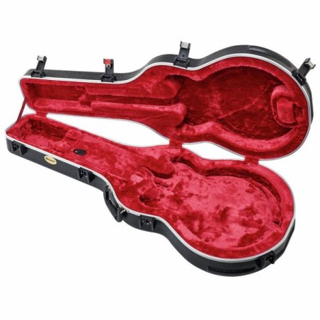 Ibanez MM100C