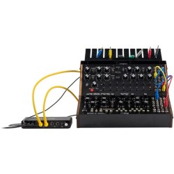 Moog Sound Studio: Mother-32 e DFAM