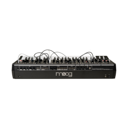 Moog Matriarch Dark