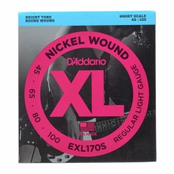 D'Addario EXL170S