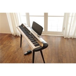 KORG ST-WL Black