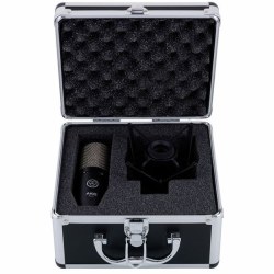 AKG P220