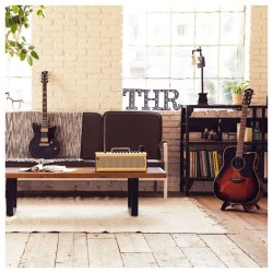 YAMAHA THR10II