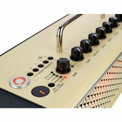 YAMAHA THR10II