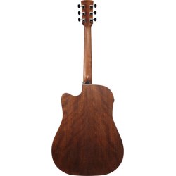 Ibanez AW1040CE-OPN Open Pore Natural