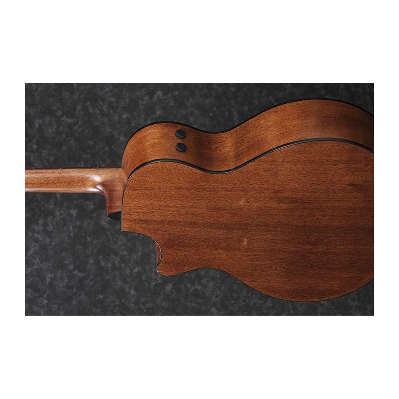 Eko NXT D100E XII Chitarra Acustica 12 Corde Elettrificata See Through