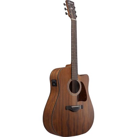Ibanez AW247CE-OPN Open Pore Natural