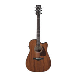 Ibanez AW247CE-OPN Open Pore Natural