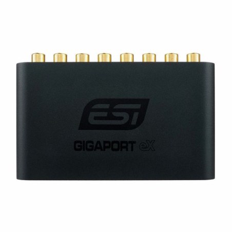 Esi Gigaport eX