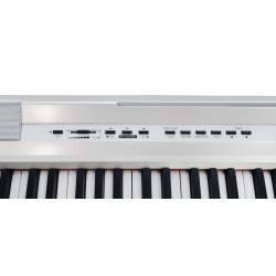 E-CHORD SP-10W Bianco