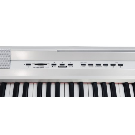 E-CHORD SP-10W Bianco