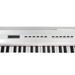 E-CHORD SP-10W Bianco