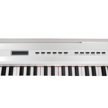 E-CHORD SP-10W Bianco