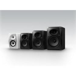 Pioneer Dj VM-50-W