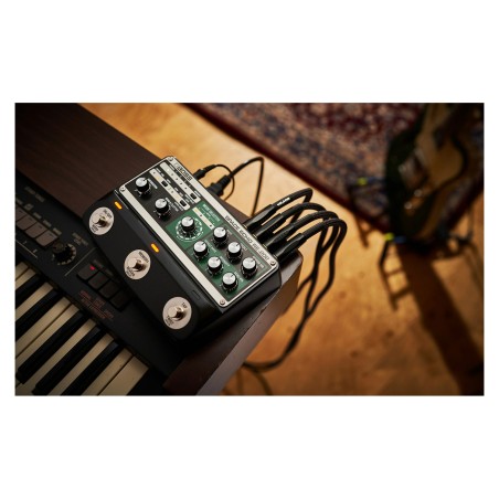 BOSS RE-202 Space Echo