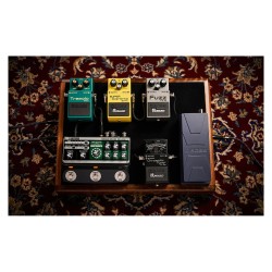 BOSS RE-202 Space Echo