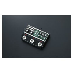 BOSS RE-202 Space Echo
