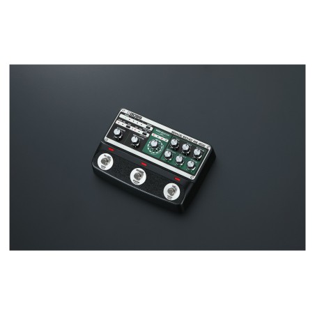BOSS RE-202 Space Echo