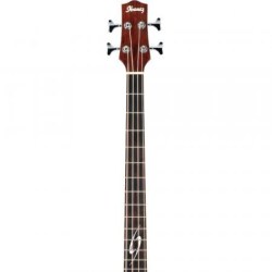 Ibanez EWB20WNE Natural