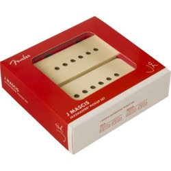 Fender Set Pickup J Mascis Signature Jazzmaster