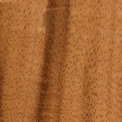 Taylor GS MINI-e Koa Plus
