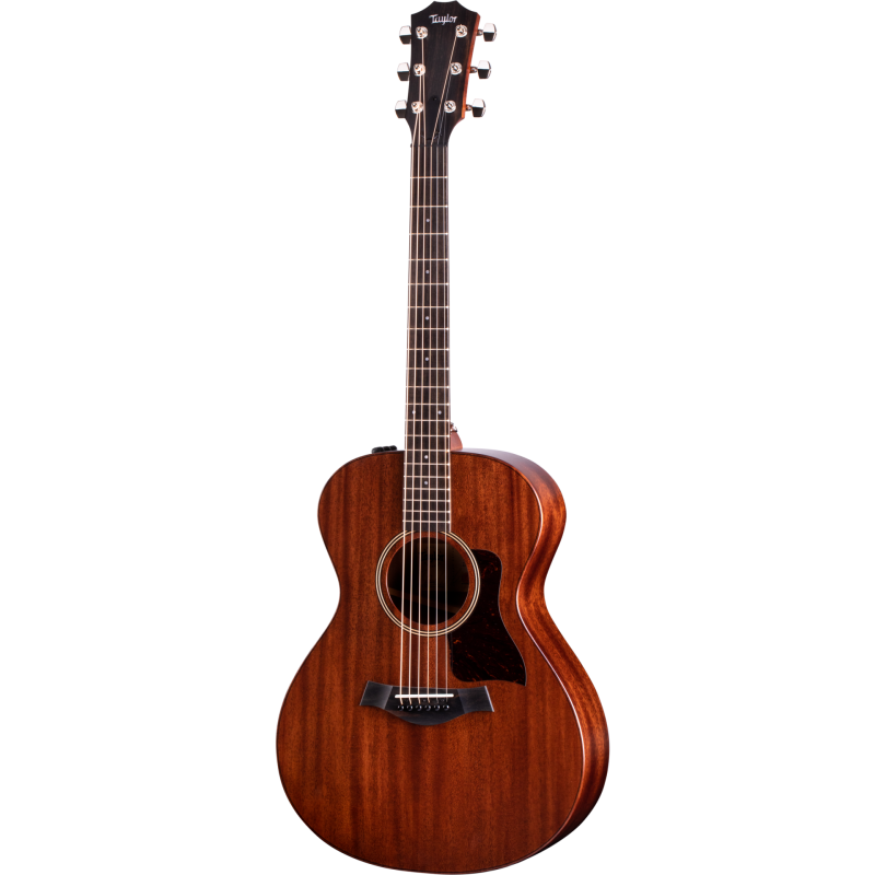 Taylor AD22e
