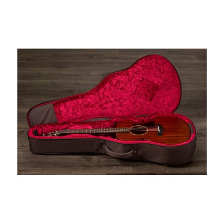 Taylor AD22e