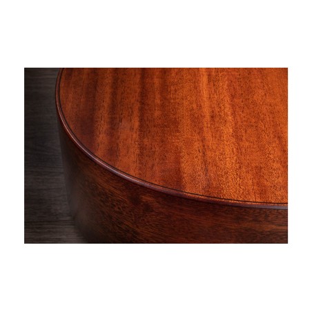Taylor AD22e