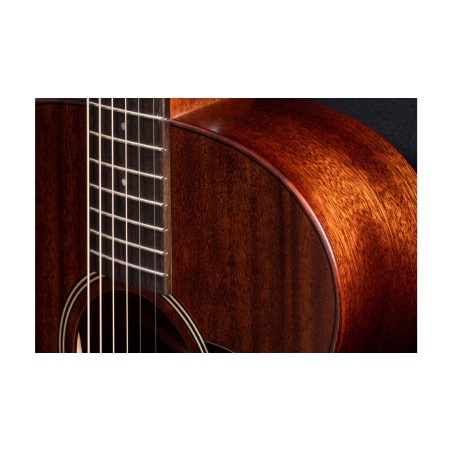 Taylor AD22e