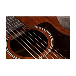 Taylor AD22e