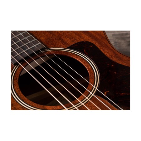 Taylor AD22e