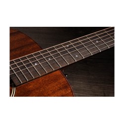 Taylor AD22e