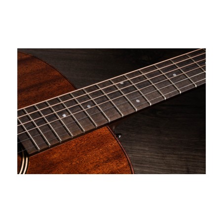 Taylor AD22e