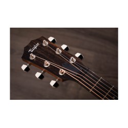 Taylor AD22e