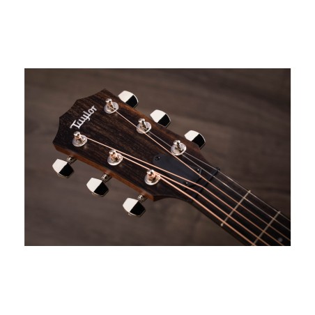 Taylor AD22e
