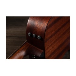 Taylor AD22e