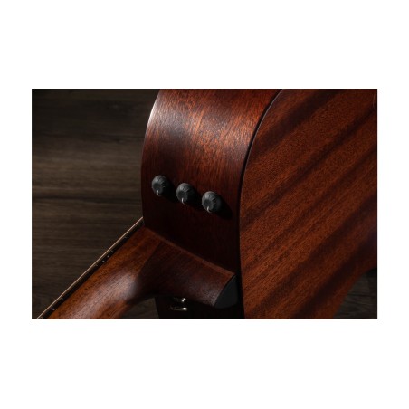 Taylor AD22e