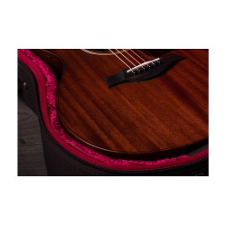 Taylor AD22e