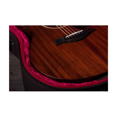Taylor AD22e