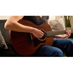 Taylor AD22e