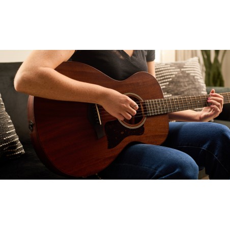 Taylor AD22e