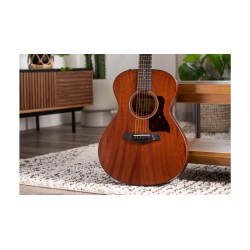 Taylor AD22e
