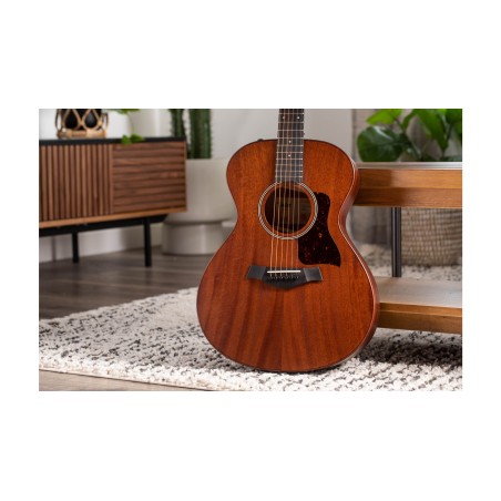 Taylor AD22e